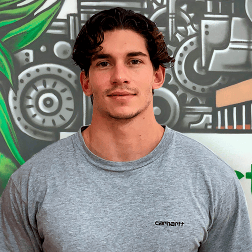 DAVID WEBSITE