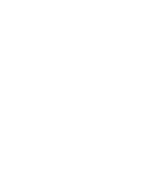 secure-1